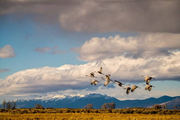 Baca National Wildlife Refuge