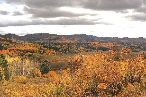 Los Caminos Antiguos Scenic Byway