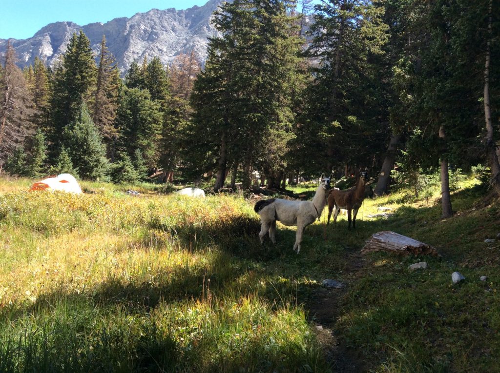 Hiking the Jeep Trail to Como Lake