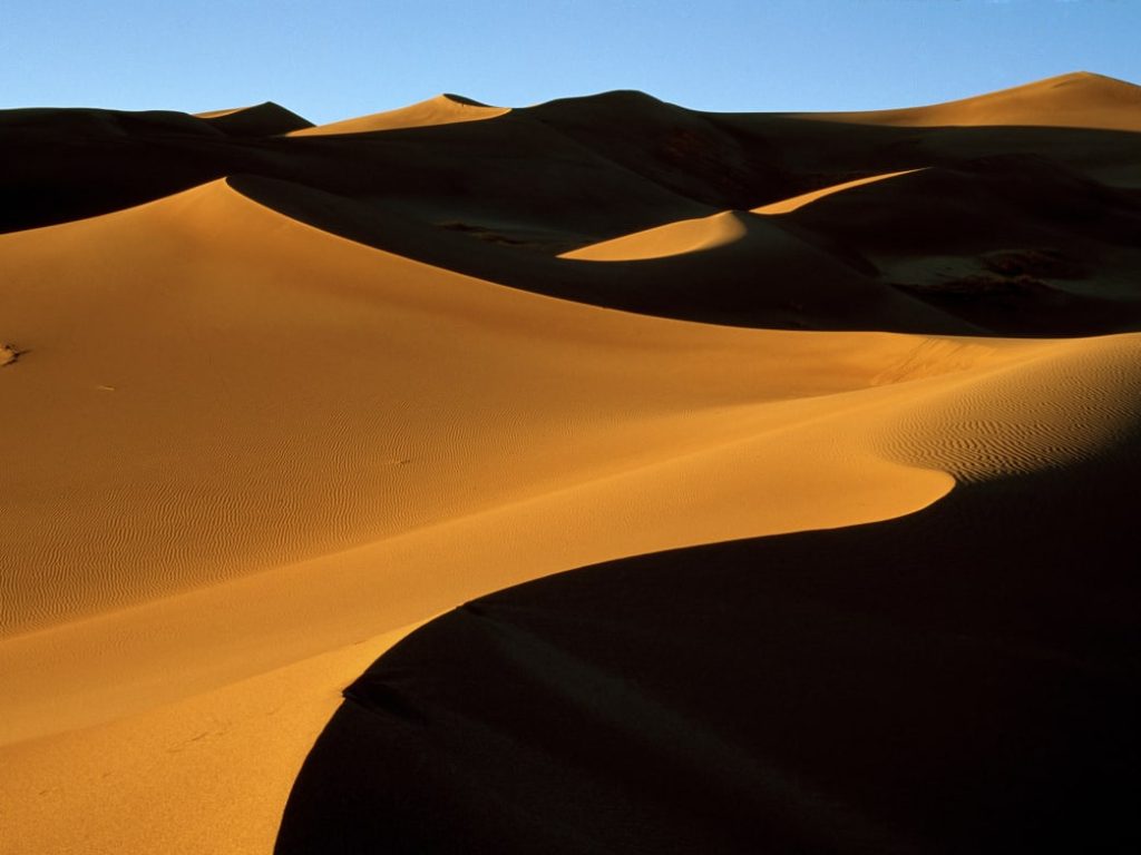 A Day At The Dunes