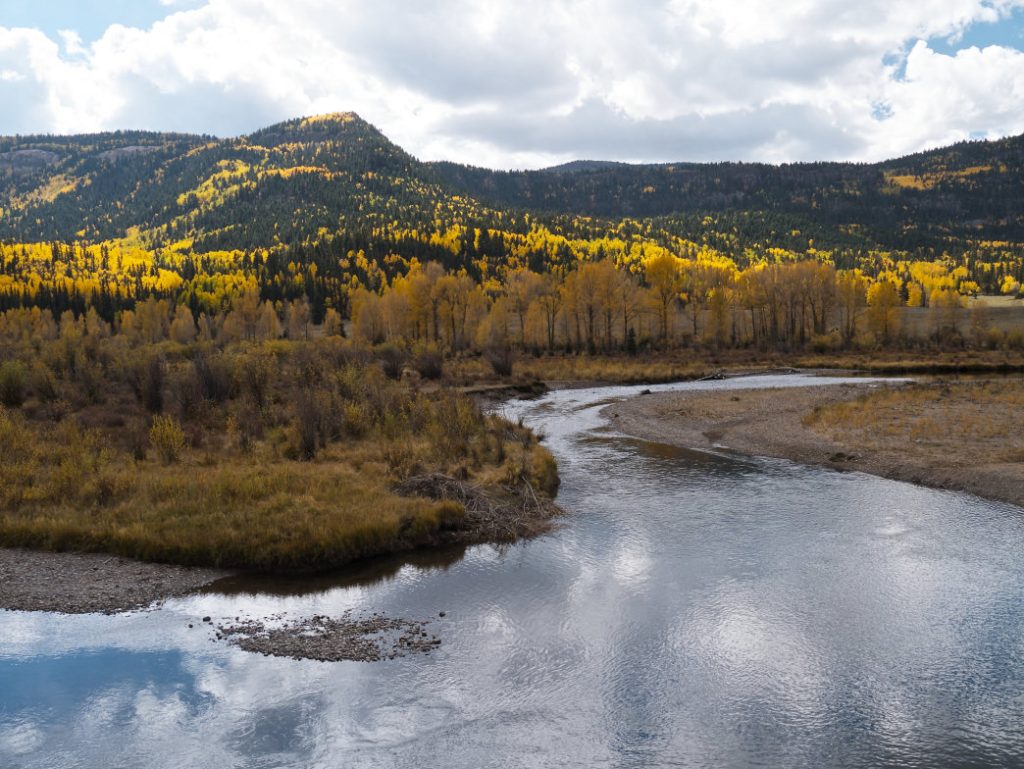 Conejos River - Fly Fishing