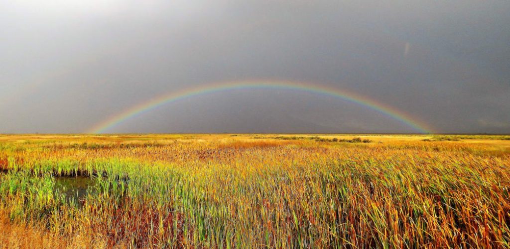 On the Outskirts of the Great Sand Dunes: 8 Can't-Miss Experiences Outside Park Boundaries