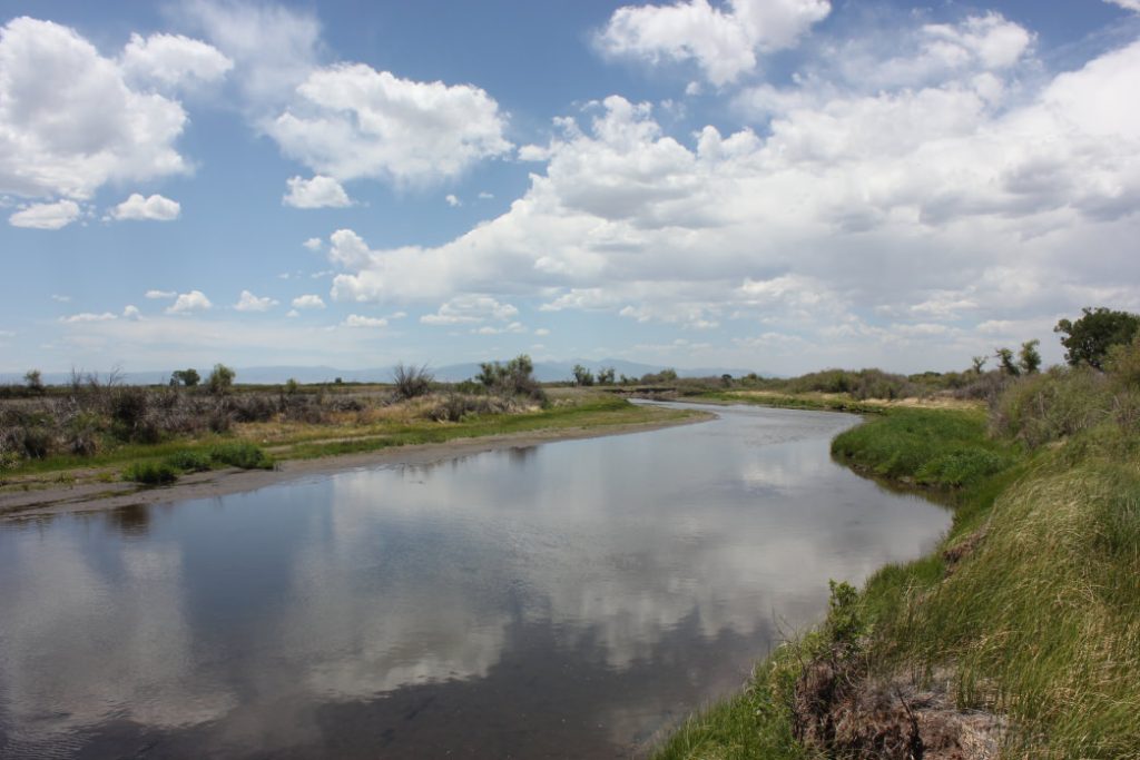 Rio Grande River - San Luis Valley - Fly Fishing