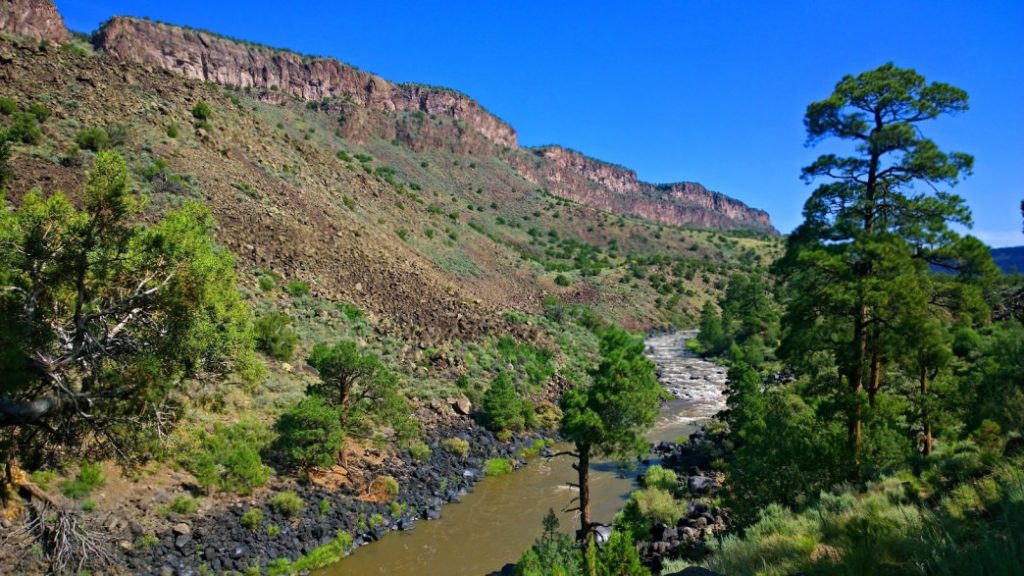 An Angler's Guide to the Best Fishing Near Alamosa