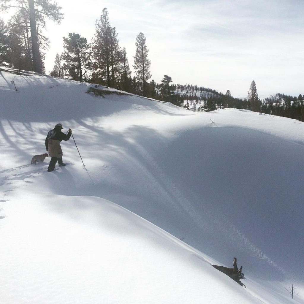 Snowshoeing & Cross Country Skiing