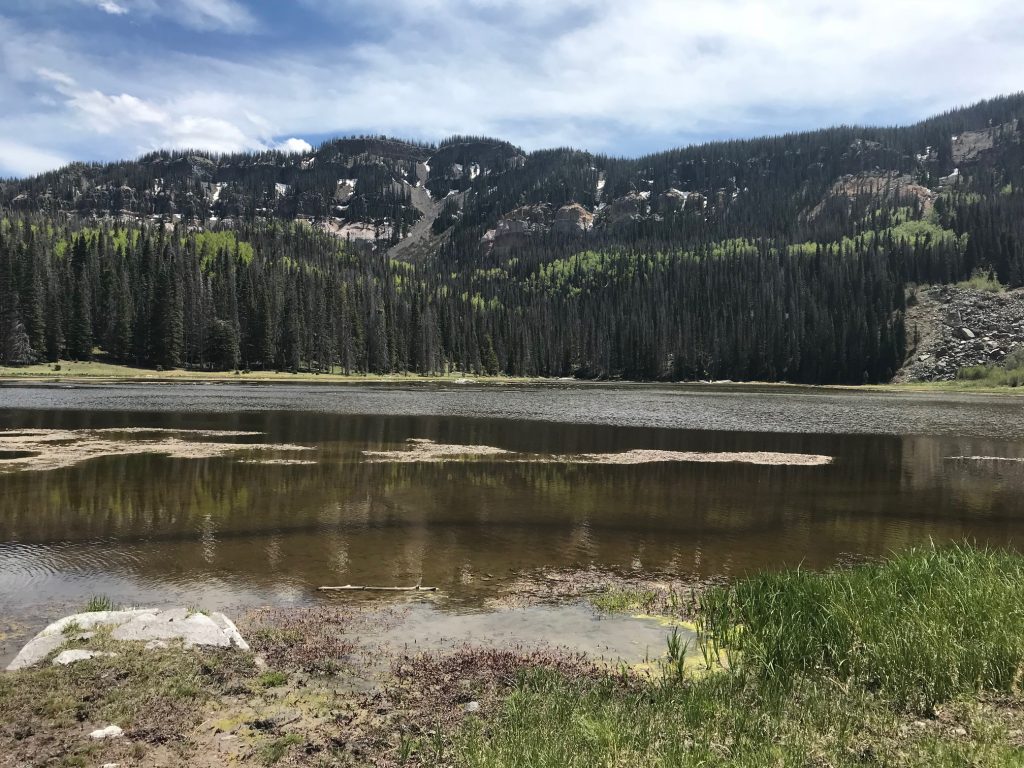 Duck Lake Trail