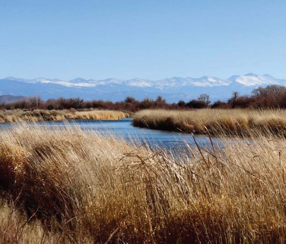 Alamosa Wildlife Refuge Trail