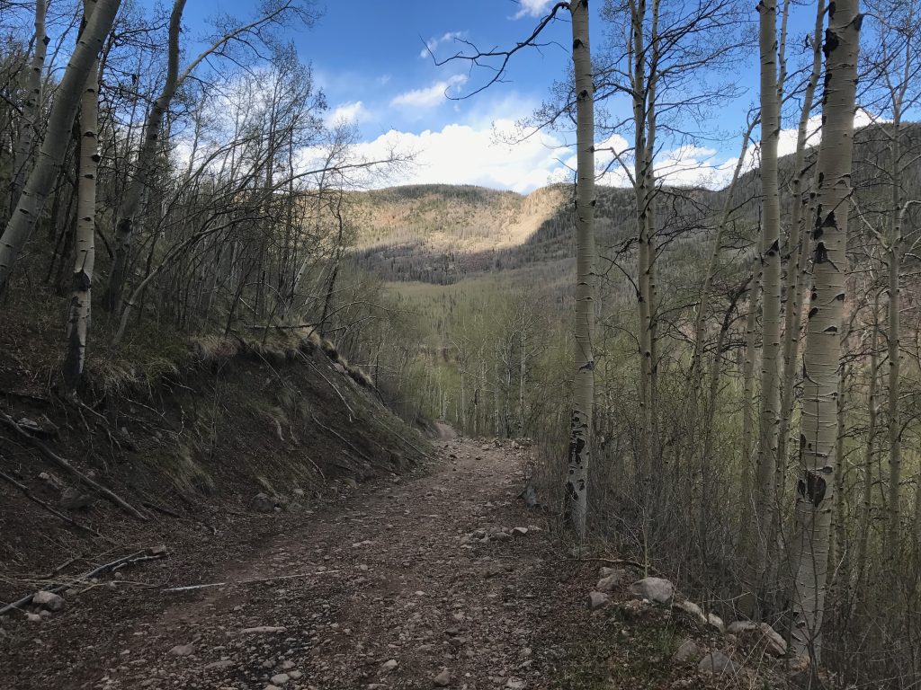 Embargo Creek Trail