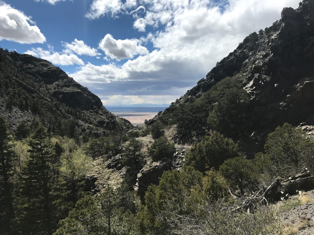 Mosca Pass Trail