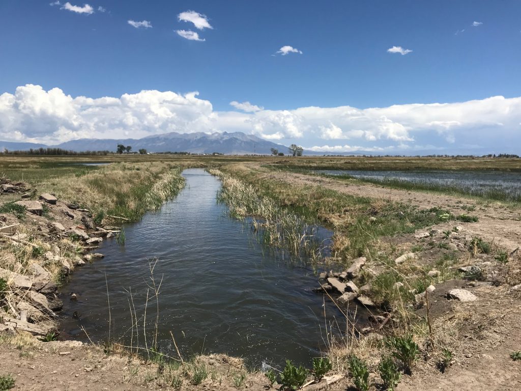 Oxbow Trails System